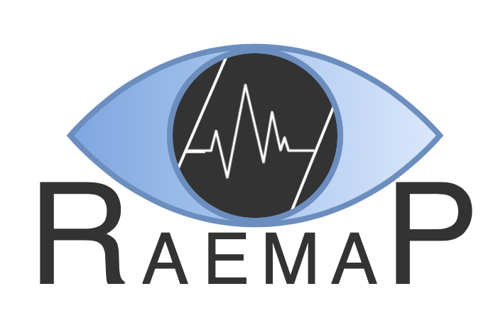 Real-Time Advanced Eye Movements Analysis Pipeline (RAEMAP)
